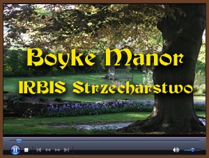 boyke_manor.jpg (27018 bytes)