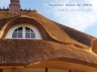 IRBIS Strzecharstwo - nasze dachy to nie tylko fantazja i ekologia, to przede wszystkim bezpieczeństwo i trwałość!