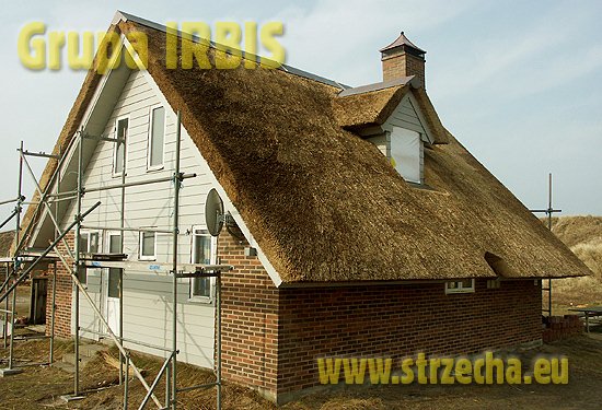 Thatching & Rethatching Service - IRBIS Strzecharstwo - trzcinowa strzecha na domku całosezonowym realizowanym w Danii!